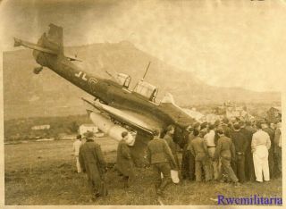 Port.  Photo: BEST Luftwaffe Ju - 87 Stuka Bomber (T6,  C?) Crashed Landed in Field 2