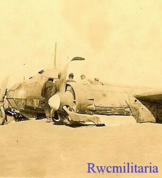 Black Cross Down Shot Down Luftwaffe Ju - 88 Bomber; Staraja - Russa,  Russia 1941