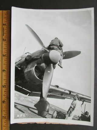 1942 Wwii Press Photo Italian Air Force Stuka Ju 87b After Mission