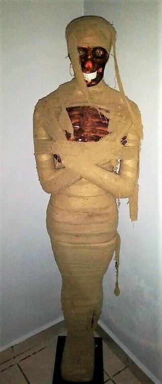 Skeleton Mummy Prop 5 