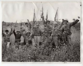 1950 1st Cavalry Troopers And South Korean Guerrillas At 38th Parallel 7x9 Photo