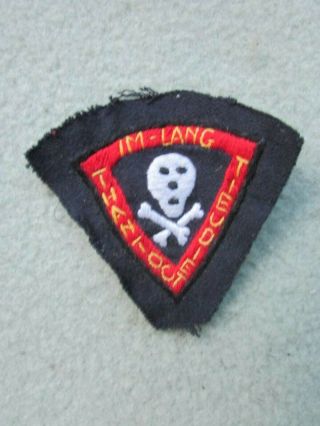 Rare Vietnam War Arvn Airborne Special Forces S.  Vietnam Dead Head/scull Patch