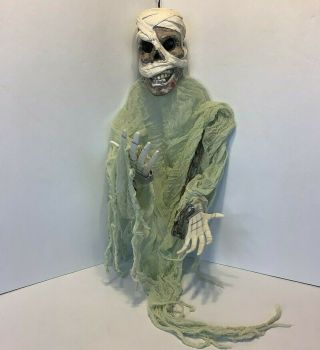 Gemmy Lights Sound Hanging Shaking Skeleton Mummy Halloween Prop Decoration