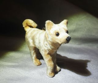 Vintage Doll Dog Putz Eskimo Dog Sled Dog Husky Samoyed Jumeau Bleuette Friend