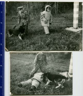 4 Military Photo Ussr Soviet Army Dog Handler,  Border Guard,  Frontierguad Uniform