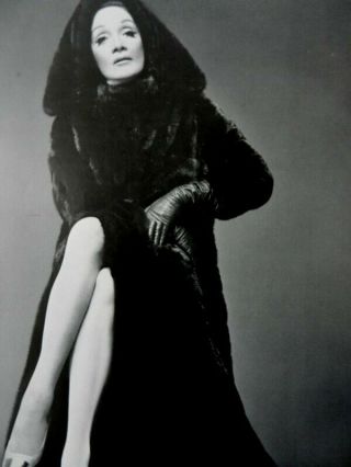 Marlene Dietrich Blackglama Poster Mink Fur Ad Richard Avedon Nm - Rare