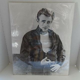 Rebel Without A Cause James Dean Foundation Print B&w 1989 Never Opened 20x16 "
