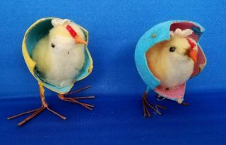 Vintage Set Of Fuzzy Easter Chicks In Cracked Eggs Wiith Wire Feet Japan