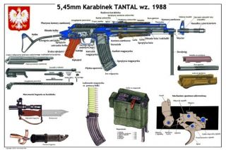 Color Poster Poland Polish Tantal Rifle Kalashnikov 5.  45x39 Lqqk & Buy Now