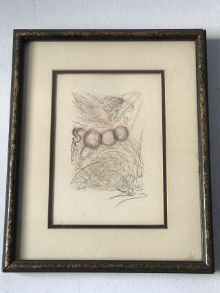 Salvador Dali Modern Expressionist Etching - Signed 1960 Vintage Abstract Pegasus
