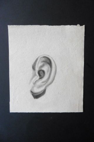 French School Ca.  1800 - Study Of An Ear - Charcoal Drawing