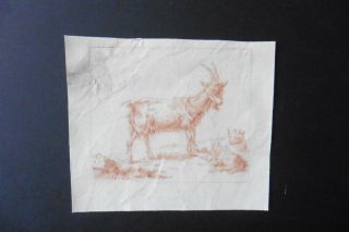 French School Ca.  1800 - Animal In Rural Landscape - Red Chalk Circle Huet