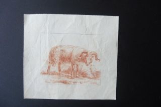 French School Ca.  1800 - Animals In Rural Landscape - Red Chalk Circle Huet