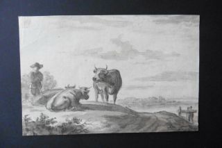 Dutch School 17thc - Animated Landscape With Cows - Circle Aelbert Cuyp - Ink