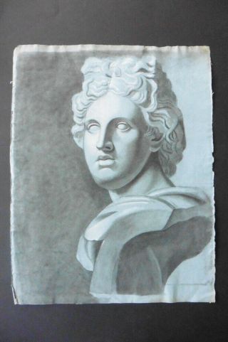 French School Ca.  1800 - Impressive Study Classical Bust - Apollo - Charcoal