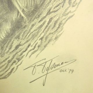 Vintage Pencil Drawing of a Lion - Signed T.  Tysman 3