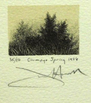 Frank Howell " Chimayo Spring " 1986 Hand Signed Lithograph On Paper