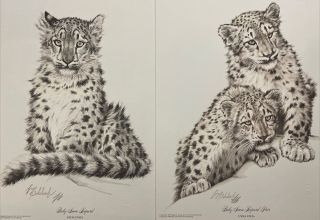 “baby Snow Leopard” By Guy Coheleach Signed 2 Prints Cub