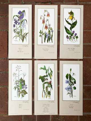 6 Botanical Prints By Ray Harm - Spring Wildflower Prints Hand - Signed