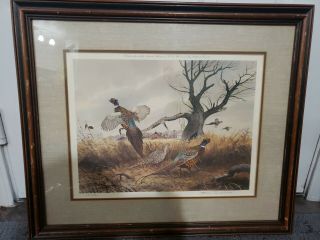 Jerry Raedeke Prairie Willow Pheasants Signed Print 250/380