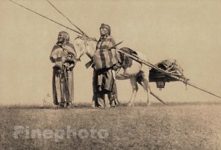 1900/72 Edward Curtis Folio Native American Indian Blackfoot Travois Photo 16x20