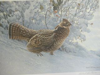 Early Snowfall - Ruffed Grouse Signed Print By Robert Bateman