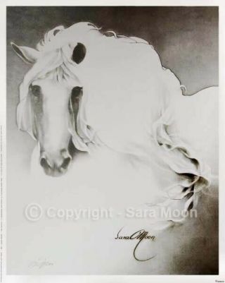 Sara Moon “the Queen” 16”x20” Personally Signed Archive Print