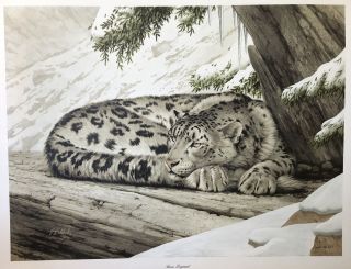 Guy Coheleach Snow Leopard Limited Edition Signed Print 31” X 25”