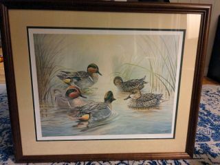 Jim Foote 1980 Framed Duck Art Print - Signed And Numbered 306/580