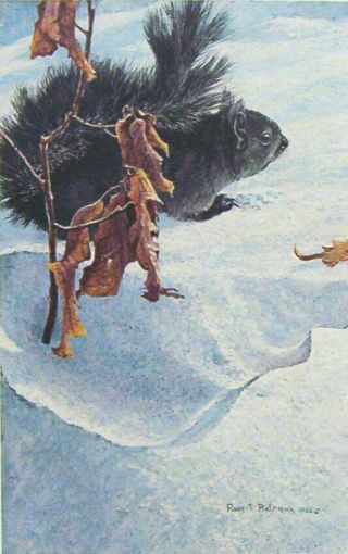 Robert Bateman,  Late Winter - Black Squirrel,  Limited Edition Print 223/950