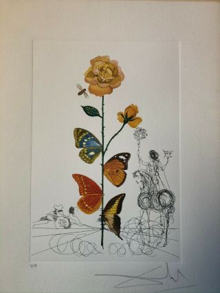 Salvador Dalí " Rosa Papillo " From Flora Dallinae (lithograph)