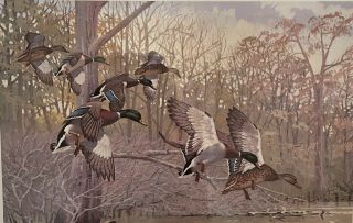 1981 Arkansas Duck Stamp Print And Two Stamps,  Lee Leblanc 5290/7200