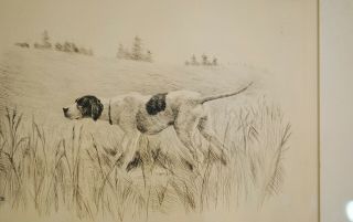 Orig Fine Art Etching Listed Artist Marguerite Kirmse Hunting Dog C1930 Signed
