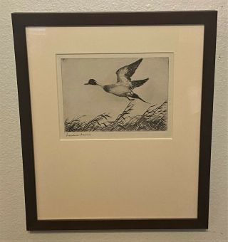 Frank Benson Pencil Signed Sporting Art Etching - Flying Pintail,  1927