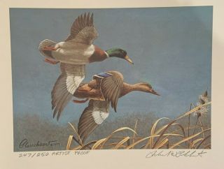 1980 - 1981 Federal Duck Stamp Print 247 By Richard W.  Plasschaert 2