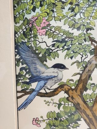 YOSHIDA TOSHI 20th c.  Japanese WOODBLOCK PRINT Birds of the Seasons SUMMER 6