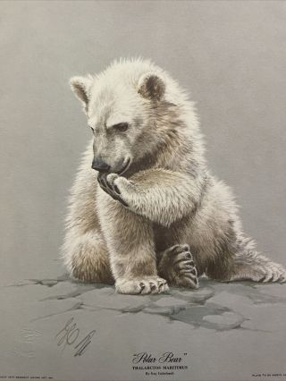 “baby Polar Bear” By Guy Coheleach Signed Print Cub