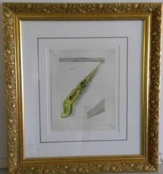 Salvador Dali The Divine Comedy Inferno 14 Framed Woodblock Print On Paper