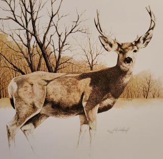 Deer Buck Limited Edition Art Print Dick Dahlquist