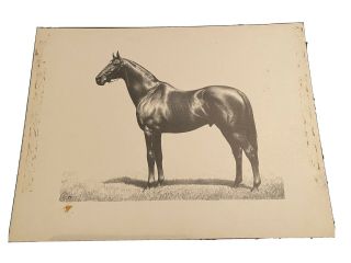 C W Anderson “man O War” 1949 Vintage Horse Print With Initial A 12x16 Matted