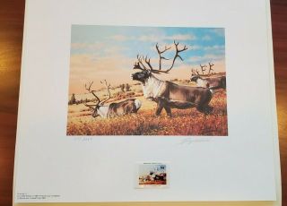 Boone Crockett 1983 Conservation Print Caribou By Guy Coheleach W/ Stamp S/n