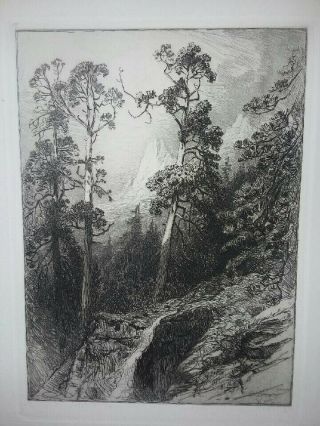 " Yosemite " By James D Smilie 19th Century American Etching Of California