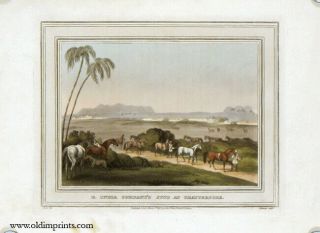 India Horses / E India Company 