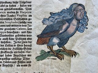 1669 Grey Partridge Harpy Conrad Gesner Folio 2 Woodcuts Hand Coloured