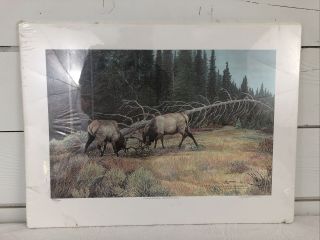 Mel Dobson " Challenge Answered " Elk Art Signed And Number Print