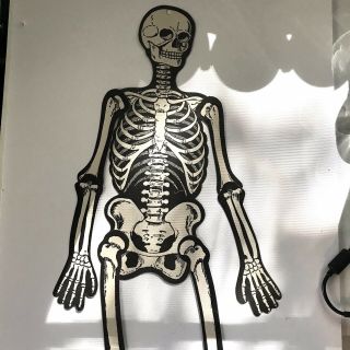 Vintage 1940s - 50s H.  E.  Luhrs Skeleton 2 -,  Jointed,  23 "
