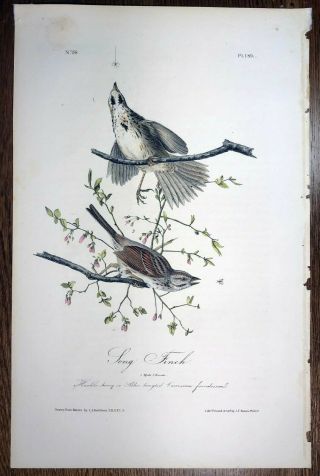 Audubon Octavo 1st Ed Print " Song Finch " Plate 189