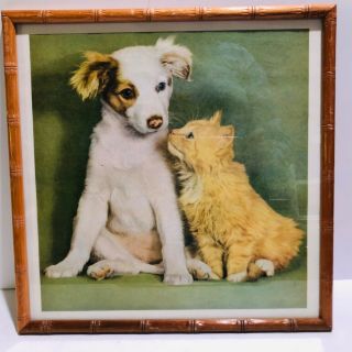 Vintage Puppy And Kitten Print Faux Bamboo Wood Frame Square Dog And Cat
