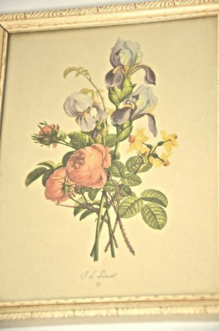 PAIR FRAMED PRINTS Vtg JL Prevost Botanical Flower 1925 Buzza Motto Proud of Son 2
