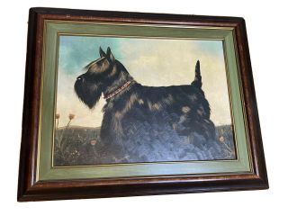 Bombay Company Framed Black Scottie Dog Art Paul Stagg Scottish Terrier Large